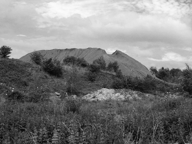 Heaps, Shaw lead USWNT to win over Argentina